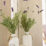 Vilă Agapi - Spacious Boutique With Private Pool Close To The Sea *