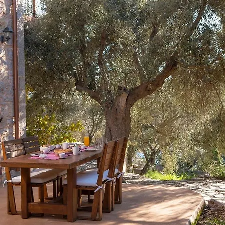 Amapola Boutique With Sea Access - Agapi Villa