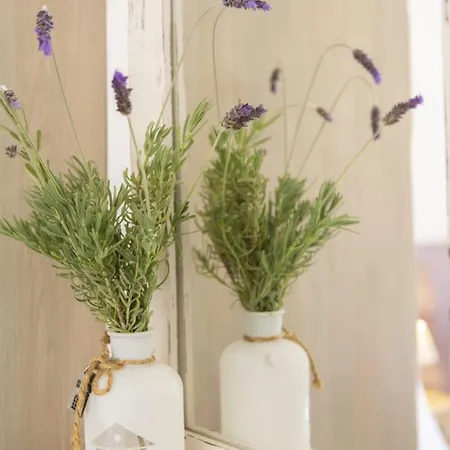 ヴィラ Agapi Spacious Stone Retreat With Jacuzzi And Private Pool *